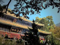 -潭柘寺景区