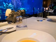 -迪拜帆船酒店海底餐厅