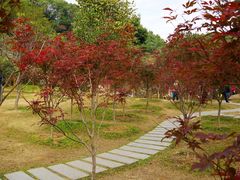 -广州市帽峰山景区
