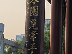 -沙湖公园