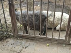 -河北村民俗体验园
