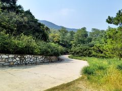 -北京西山国家森林公园