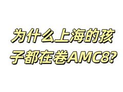 -菠萝国际教育专注Alevel·IGCSE·IB·AP·托福雅思培训辅导(静安校区)