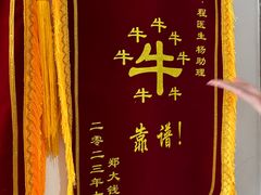 -乐琪宠物医院·犬猫专科·骨外科·急重症