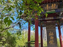 -桃花堤公园