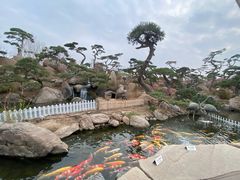 -罗红摄影艺术馆