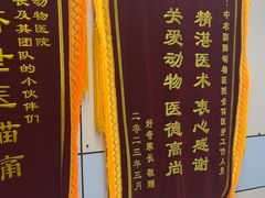 -中农国际动物医院24小时·猫科·骨科·急重症中心