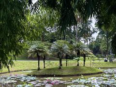 -中国科学院西双版纳热带植物园