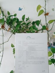 -南宁维密整形·王敦华眼鼻整复中心