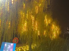 -洋湖国家湿地公园