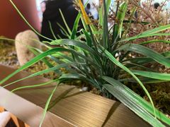 -范家小馆·烤鸭新京菜(金融街店)