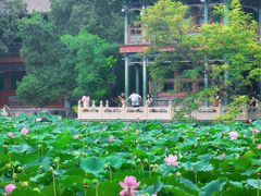 -莲池书院博物馆