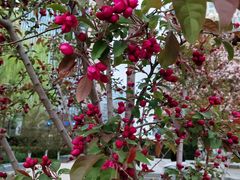 -元大都城垣遗址公园