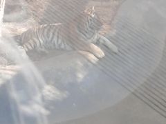 -昆明动物园