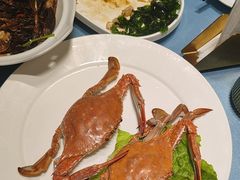-大连湾旭日·家宴·海肠捞饭(马栏广场店)