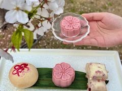 -珈境湖畔餐厅·湖北菜·江浙菜•樱花季(西北湖店)