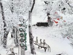 -中旅松花湖滑雪场
