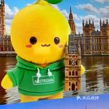 汽动江南AIR STREAM🍋柠檬宝宝太可爱