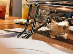 -Primo·丽莫意大利窑烤披萨