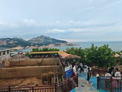 -西霞口神雕山野生动物世界