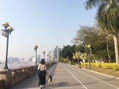 -more than meow吴止猫主题餐厅(承德 中船汇店)