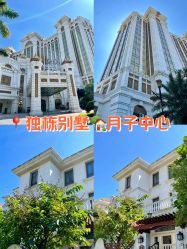 -臻康乃馨月子中心(集美店)