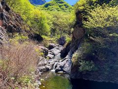 -云岫谷自然风景区