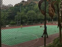 -重庆彩云湖湿地公园