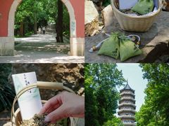 -灵谷景区