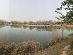 -永定河休闲森林公园