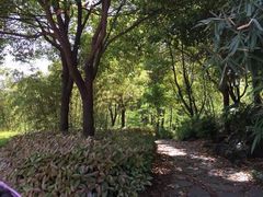 iphone_upload_pic-新江湾城公园