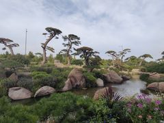 -罗红摄影艺术馆