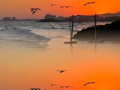 -老虎石海上公园