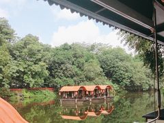 -侨美·唐荔园·40年地道粤菜