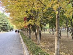 -辽宁大学(崇山校区)