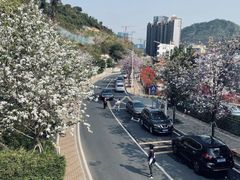 -小南山公园