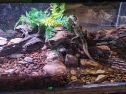 -Zoolung Zoolung动物主题公园(海信广场店)