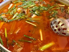 -院8里·小聚园老川菜(九眼桥店)