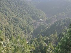 -佛慧山