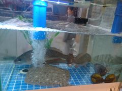 -富临港·蒸汽海鲜·手抓海鲜·炒菜(栈桥店)