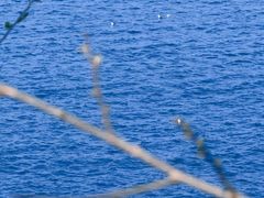 -烟台山景区
