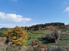 -丹山赤水风景名胜区