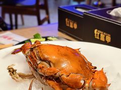 -红盔甲·小龙虾(车公庙店)