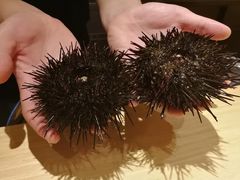 -本逸·割烹料理(湖墅店)