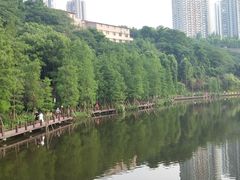 -重庆彩云湖湿地公园