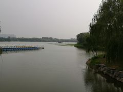 -大兴滨河森林公园