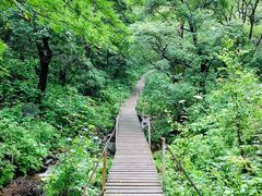 -灵山