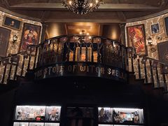 -雪灵魔法世界SHELLY’S TAROT(大良桂畔里店)