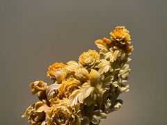 -杭州工艺美术博物馆