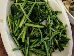 炒板蓝根-一颗印(懋庐店)